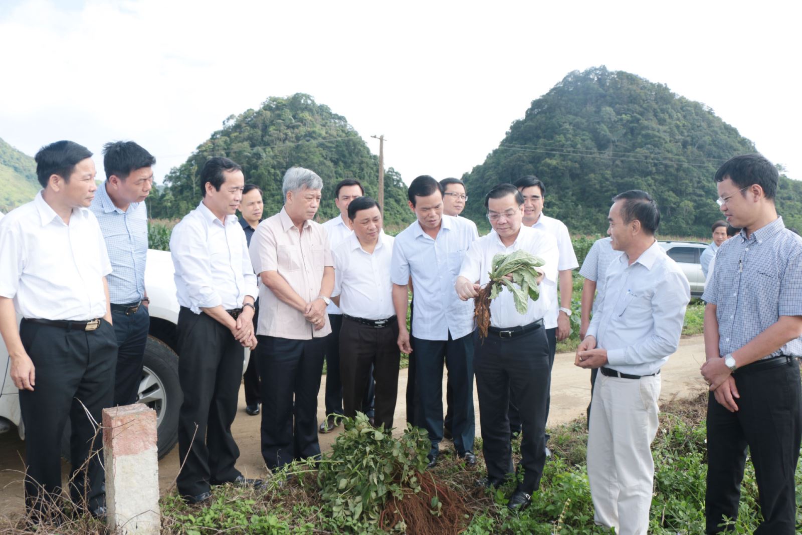 Đoàn công tác Bộ KH&CN cùng các đồng chí lãnh đạo tỉnh và huyện Quản Bạ thăm vườn trồng dược liệu của Công ty Cổ phần phát triển dược liệu An Vy tại xã Quyết Tiến (Quản Bạ).