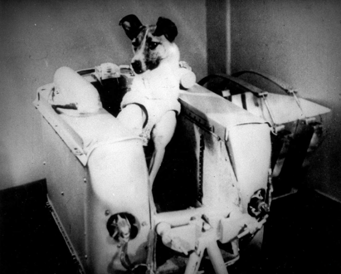 Tàu Sputnik 2 mang theo phi hành gia chó Laika cất cánh ngày 3/11/1957. Ảnh: NASM