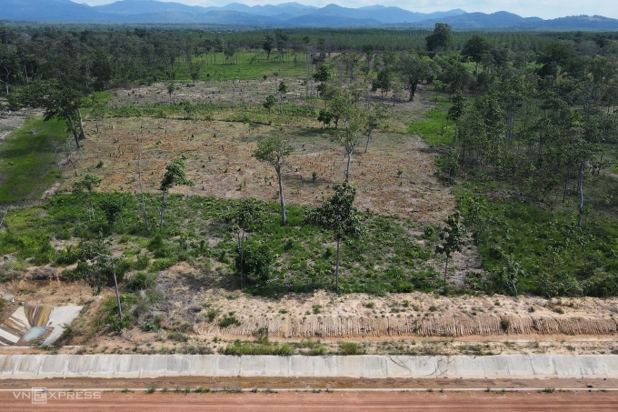 Vùng biên giới xã Ia Mơr, huyện Chư Prông, có trên 24.000 ha rừng nghèo. Các loài cây trong rừng khộp phần lớn thuộc họ dầu lá rộng như: cà chít, dầu đồng, cẩm liên, bằng lăng. Ảnh: Trần Hóa
