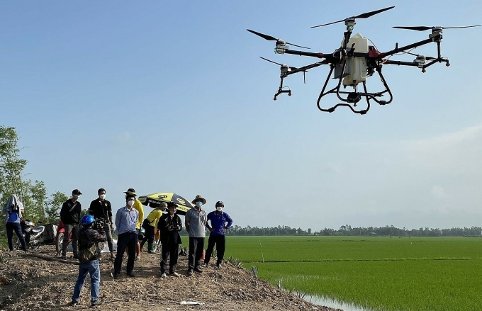 Máy bay không người lái phun thuốc trên cánh đồng huyện Tam Nông, tỉnh Đồng Tháp. Ảnh:Nghĩa Lâm
