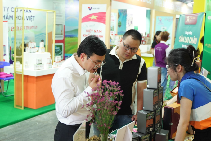 Khách hàng thưởng thức Hồng sâm Lai Châu. Ảnh: