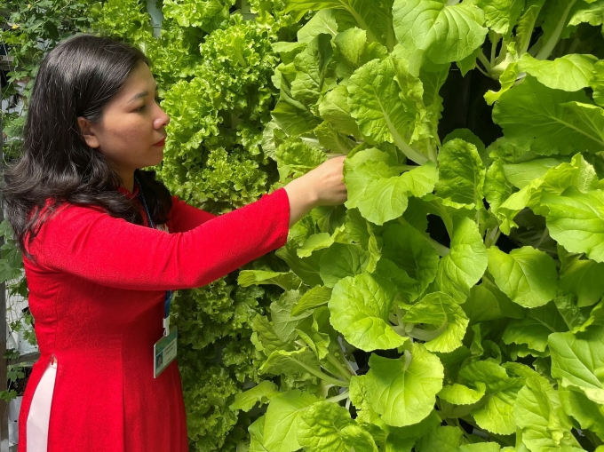 Mô hình trồng rau khí canh được giới thiệu tại triển lãm trong khuôn khổ lễ kỷ niệm. Ảnh: Hà An