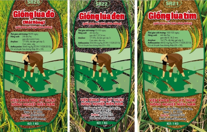 Ba giống gạo màu do nhóm nghiên cứu lai tạo thành công. Ảnh: Nhóm nghiên cứu