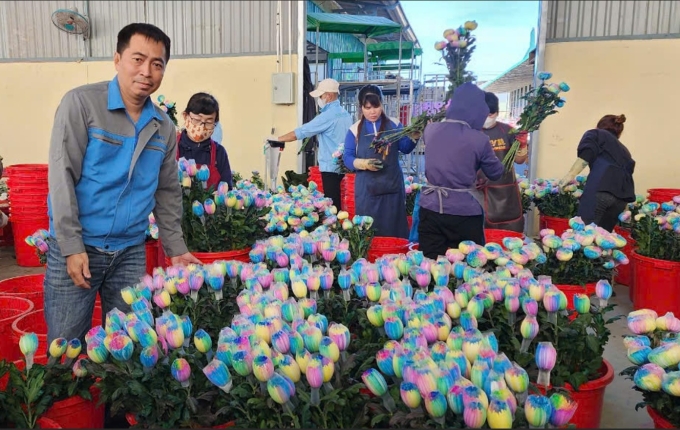 Kỹ sư Lê Trung Hiếu và các giỏ hoa nhuộm màu, dưỡng hoa tươi lâu dùng công nghệ từ trường do anh nghiên cứu. Ảnh: NVCC