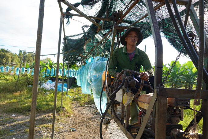 Hệ thống cáp treo để thu hoạch chuối tại trang trại chuối huyện Đức Huệ, tỉnh Long An. Ảnh: Hoàng Nam