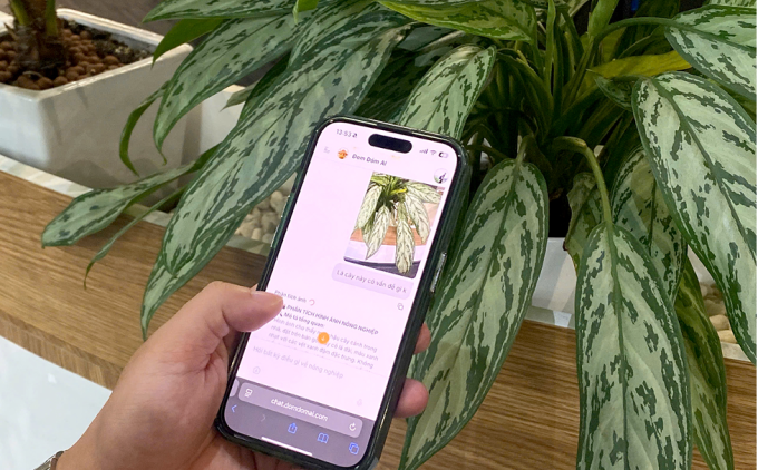 Giao diện chatbot Đom Đóm AI trên điện thoại. Ảnh: Quang Anh